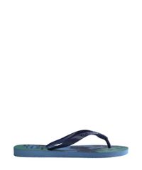 9956425-Azul_3