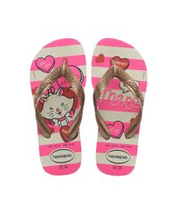 9960250-Rosa_1