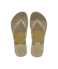 9956037-Dourado_1