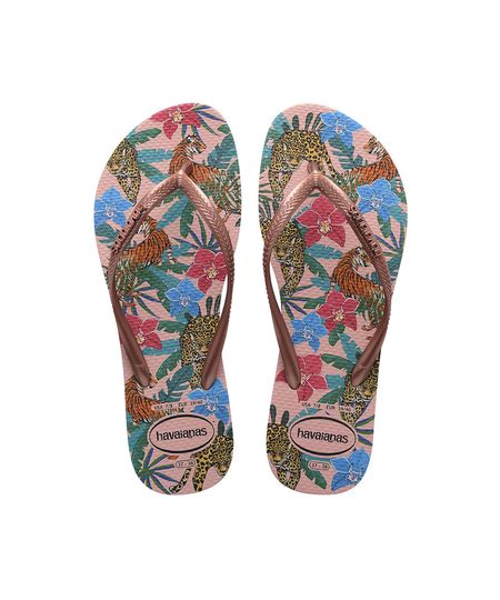 9960193-Rosa_1 9960193-Rosa_1