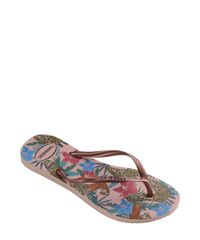 9960193-Rosa_2