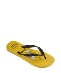 9956441-Amarelo_2