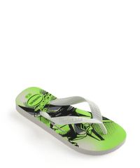 9964329-Verde_2