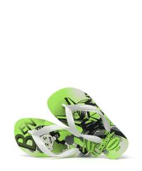 9964329-Verde_3