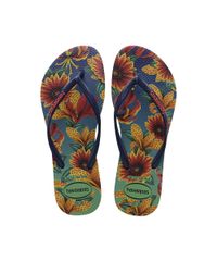 9951952-Azul_1 9951952-Azul_1