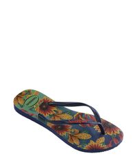 9951952-Azul_2 9951952-Azul_2