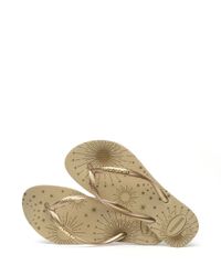 9958188-Bege_3
