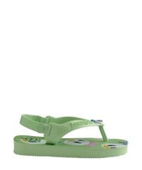 9964350-Verde_3