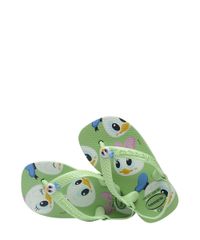 9964350-Verde_4