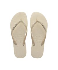 9969264-Dourado_1