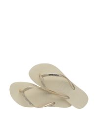 9969264-Dourado_3