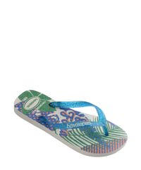9974977-Azul_2