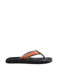 9976144-Preto_4