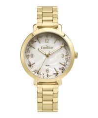 9996299-Dourado_1