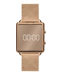 9996386-Rose_1