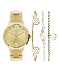 9996524-Dourado_1
