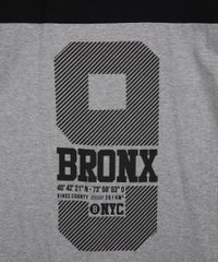 9988855-Cinza_Mescla_2 9988855-Cinza_Mescla_2