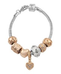 9995588-Rose_2