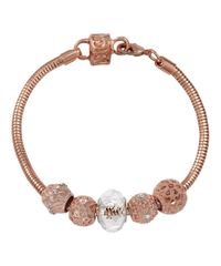 9995616-Rose_2