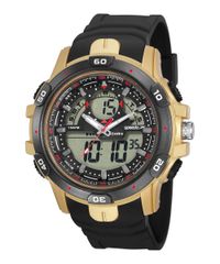 9995634-Dourado_1