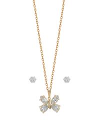 9995597-Dourado_2