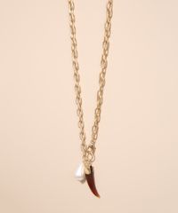 9986885-Dourado_2