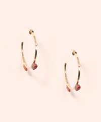 9986896-Dourado_2