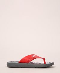 9995011-Cinza_2