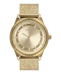 9996324-Dourado_1