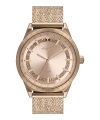 9996117-Rose_1