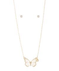 9996123-Dourado_2