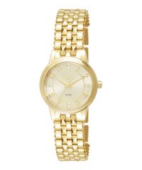 9996553-Dourado_1