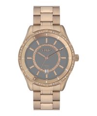 9996121-Rose_1