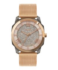 9996249-Rose_1