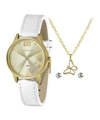 9996783-Dourado_1