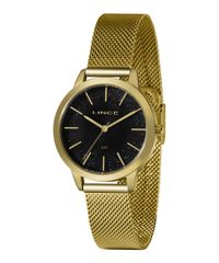 9996793-Dourado_1