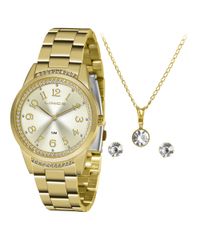 9996847-Dourado_1
