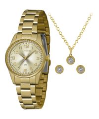 9996859-Dourado_1