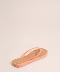 9992027-Rosa_4
