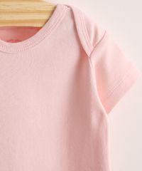 9975805-Rosa_Claro_4