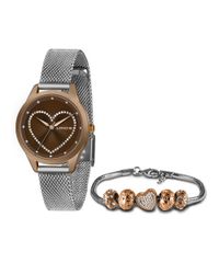 9996954-Rose_1