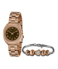 9996968-Rose_1