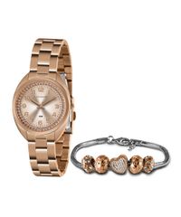 9996969-Rose_1
