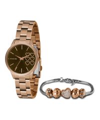9996971-Rose_1