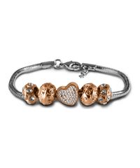 9996971-Rose_2