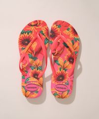 9991917-Rosa_1