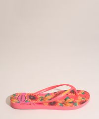 9991917-Rosa_2