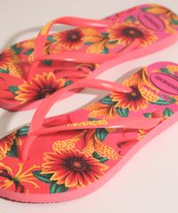 9991917-Rosa_3