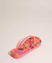 9991917-Rosa_4