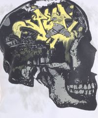 8033186_4